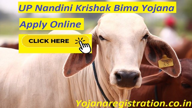 UP Nandini Krishak Bima Yojana Apply Online, Application Form PDF - नंदिनी कृषक बीमा योजना ऑनलाइन आवेदन 2023